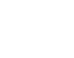 Logo Robert Bosch Stiftung